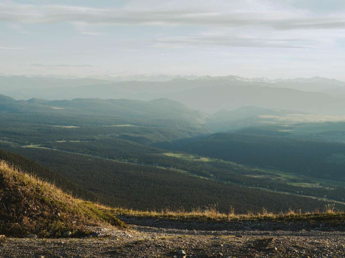 Jesmond Fire Lookout photo 3