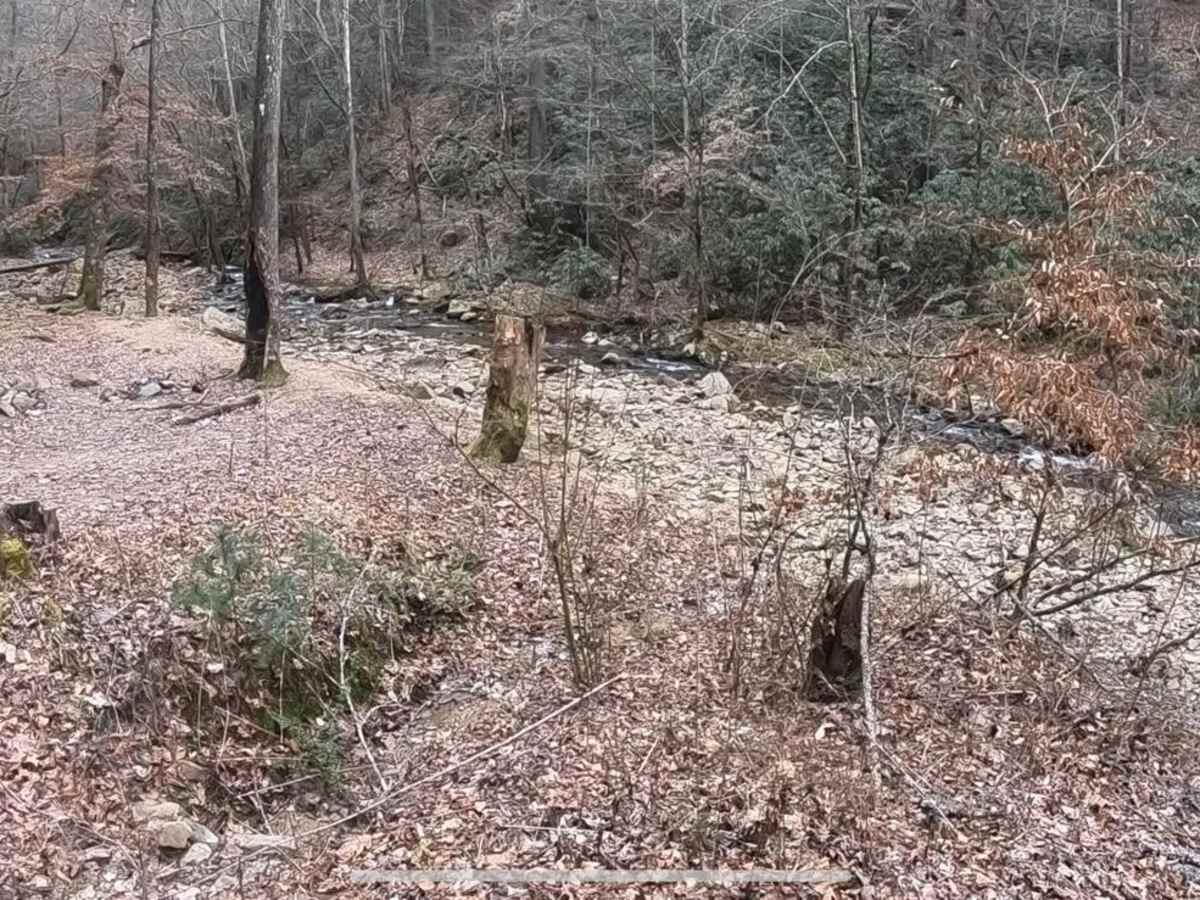 Indian Creek - FSR 302 photo 5