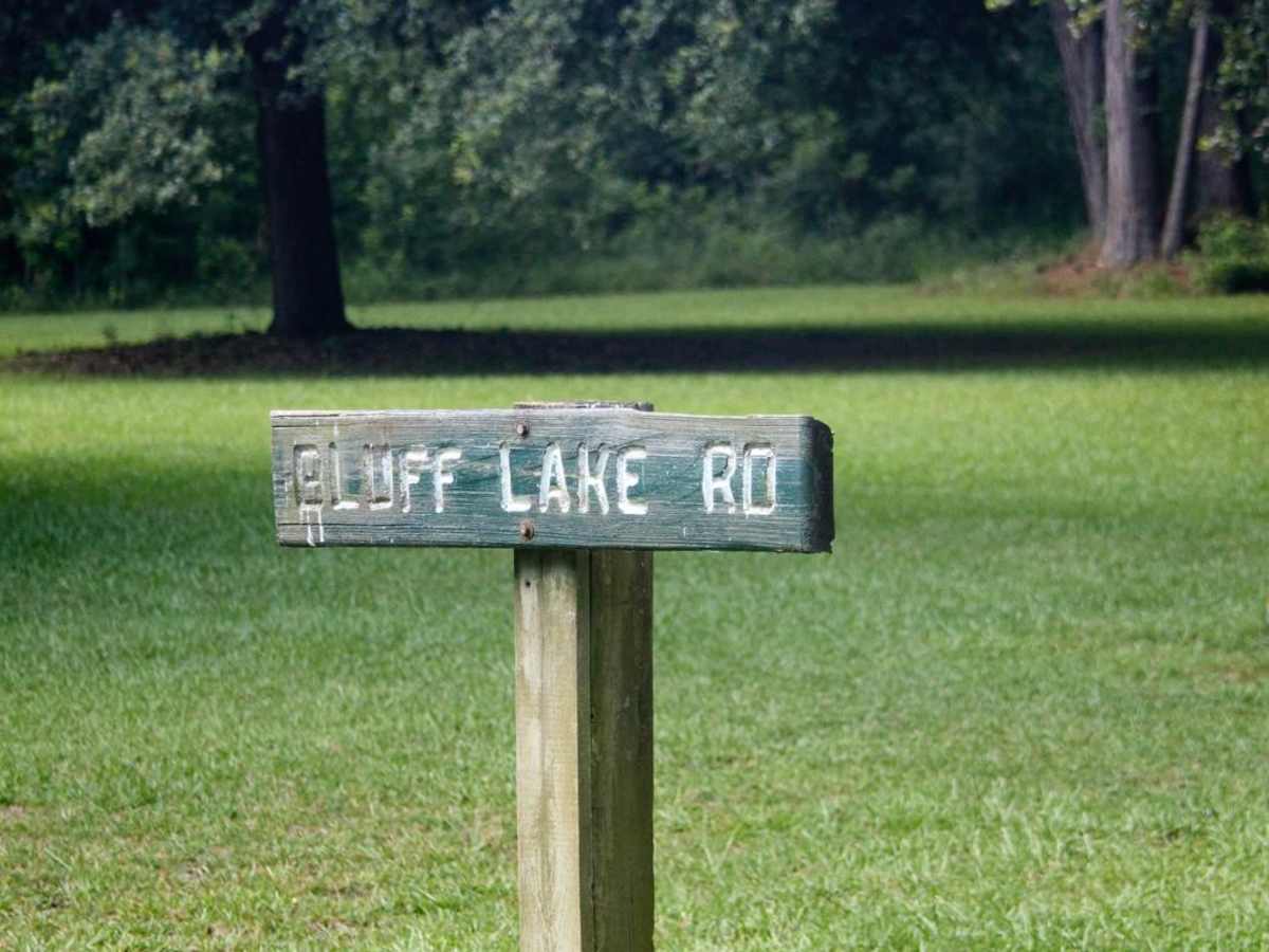 Bluff Lake Access photo 5