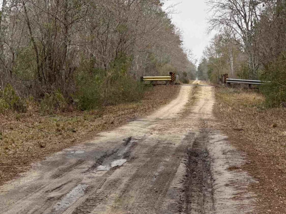 Pine Log Road photo 5