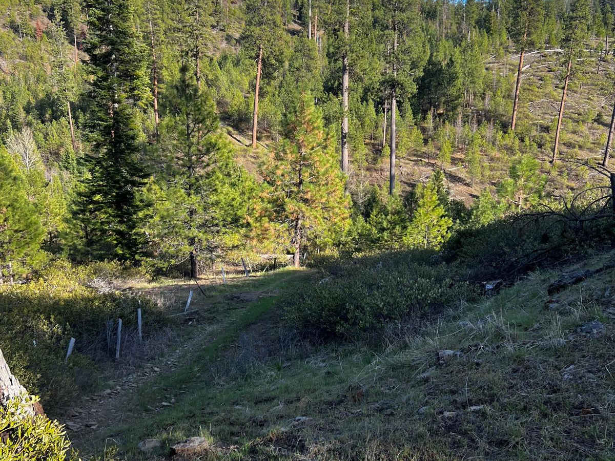 Lower McKay Creek Road to West Fork Mill Creek Road photo 2
