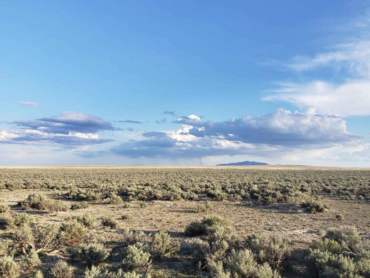 Tent Creek Road photo 3