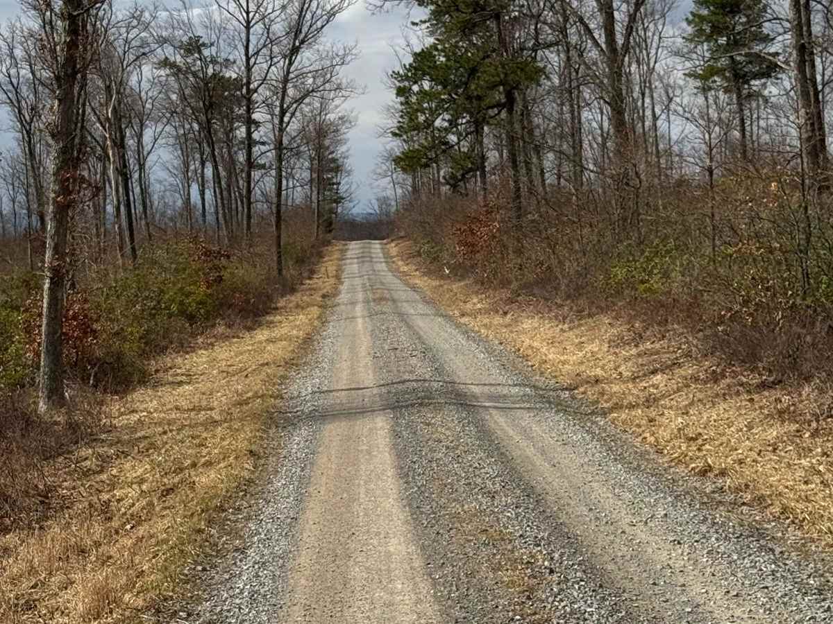 State Line Road photo 5