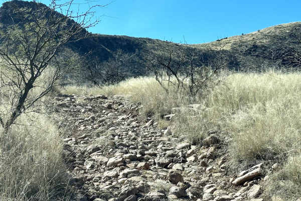 Buzzard Tank Trail