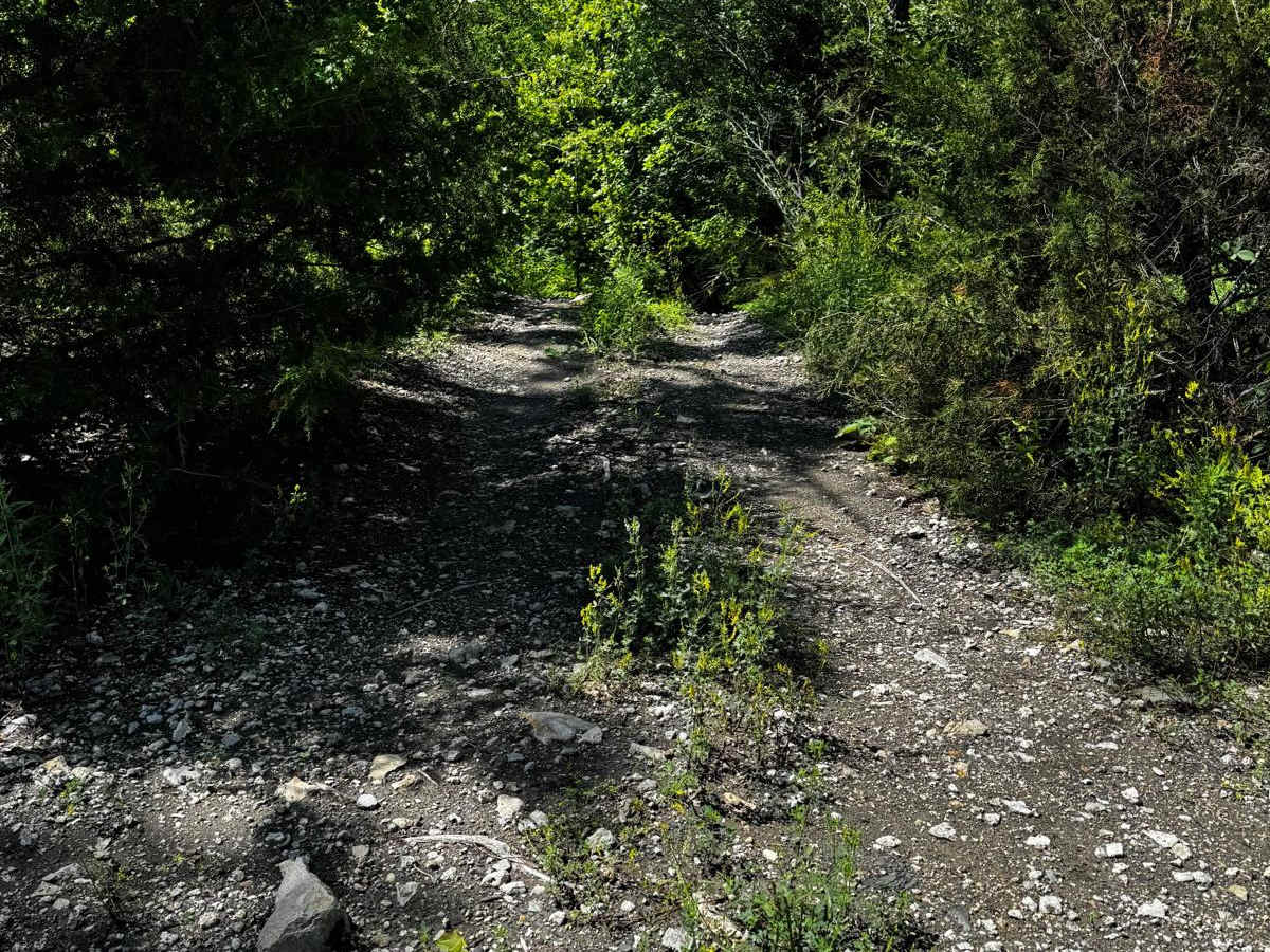 Red 204 trail photo