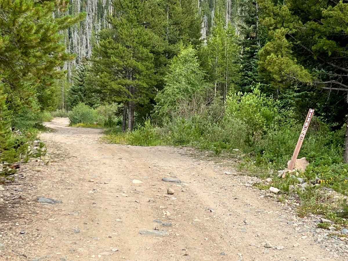 Lake Evelyn Road - FS 136 trail photo