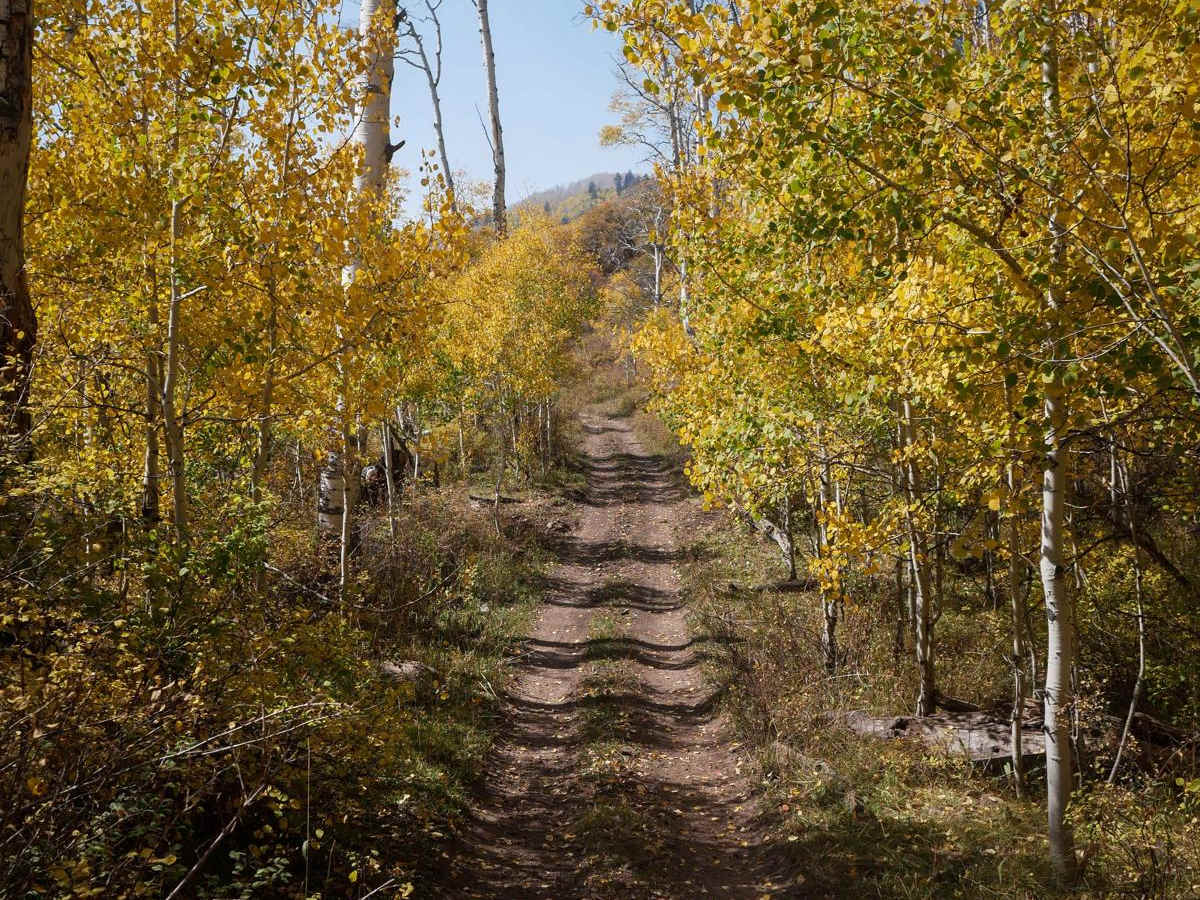 Spring Creek ATV Trail (West) trail photo