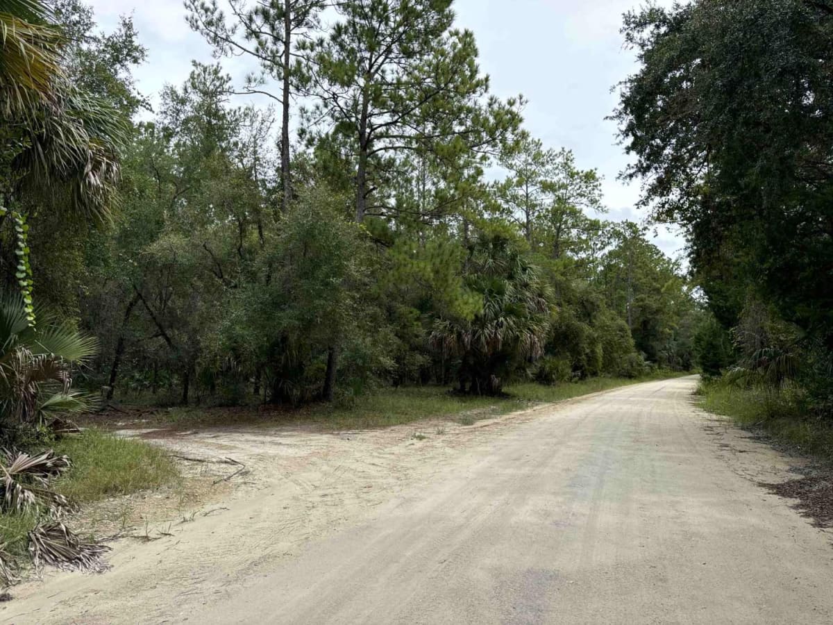 Ocklawaha Trail - ONF SE24ST photo 5