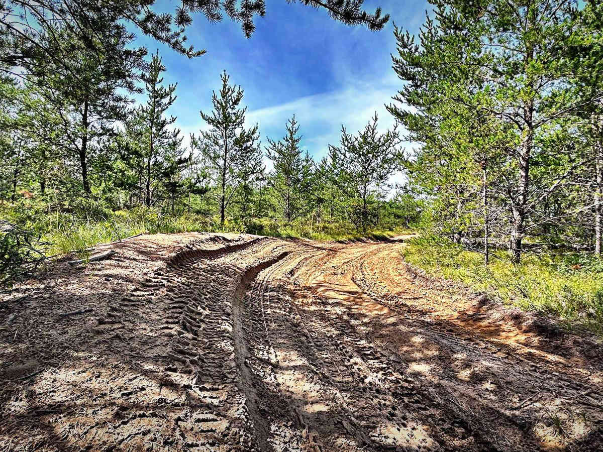 Baraga Plains South Loop photo 2
