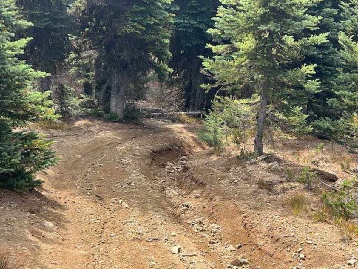 Manastash Trail West photo 3