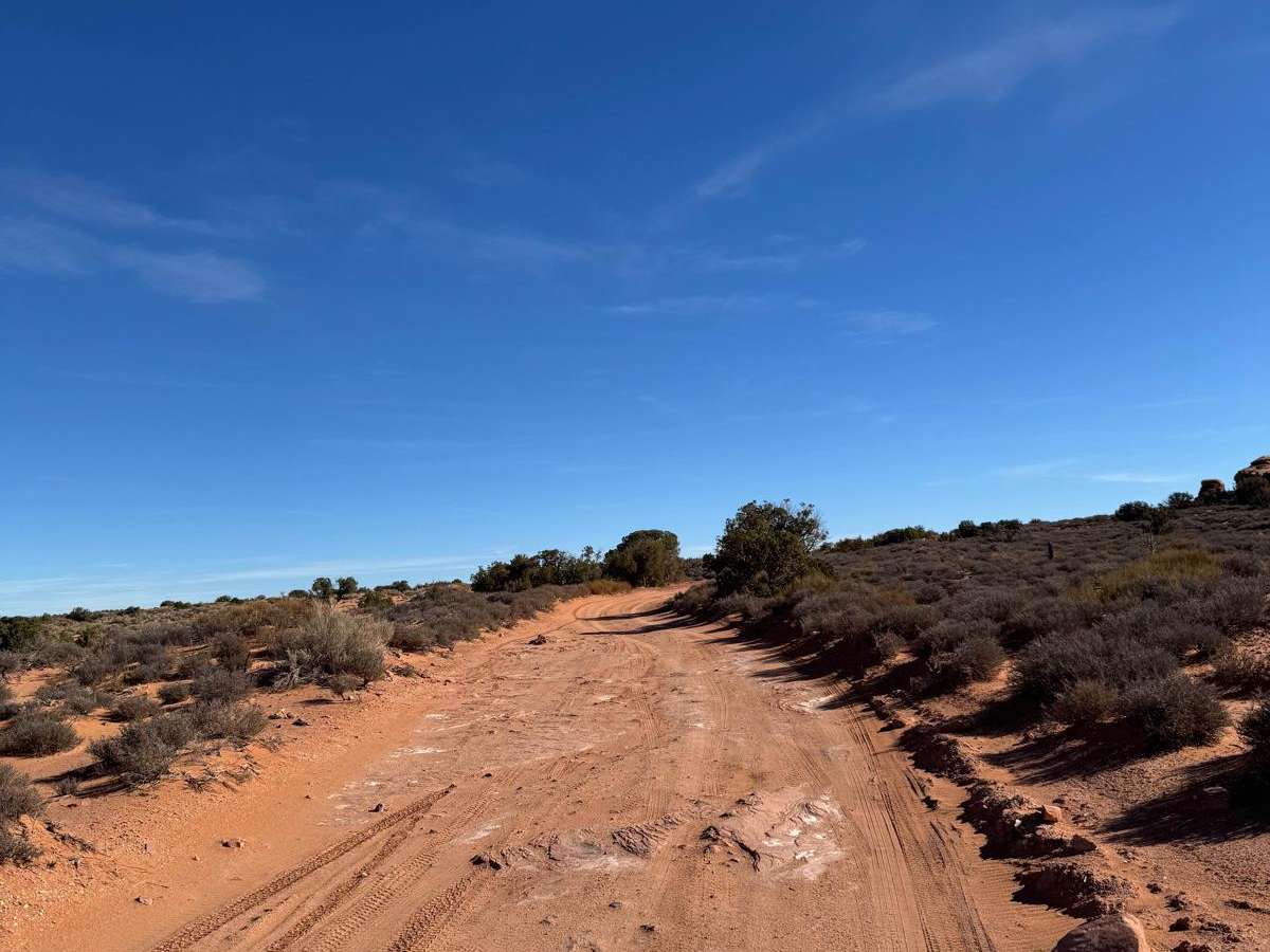 Willow Springs Trail and Dinosaur Tracks photo 6