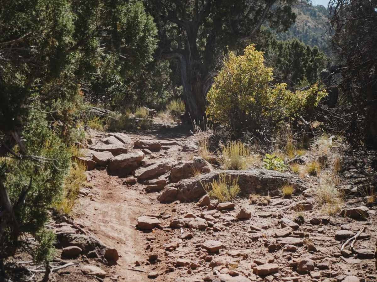 Lower Spring Creek Trail photo 2