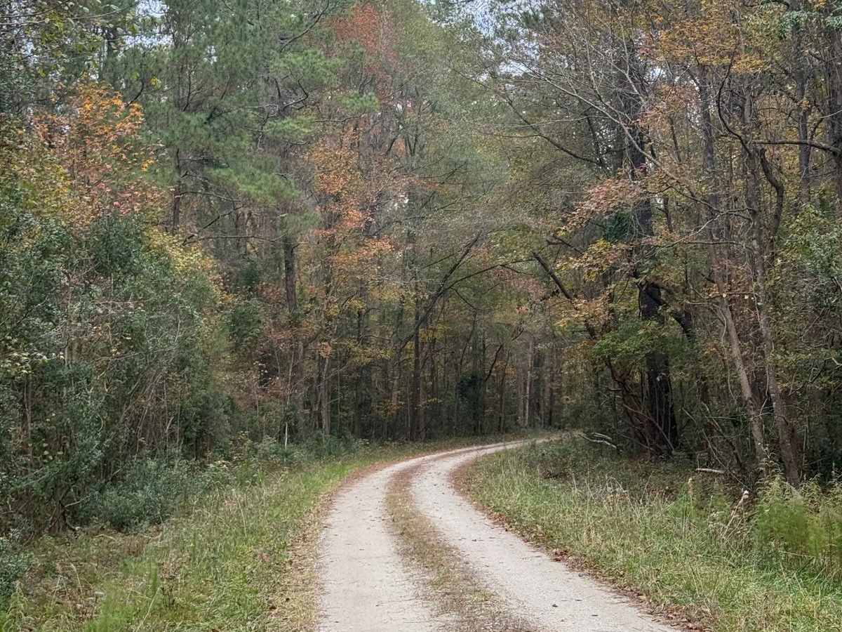 Crooked Road photo 6