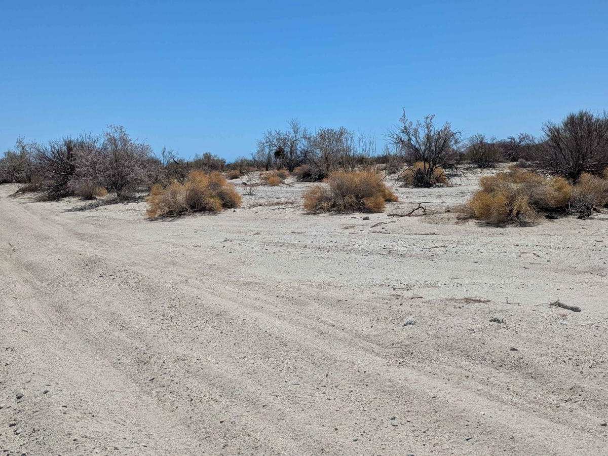 Los Cuevitas Ridge Trail photo 6