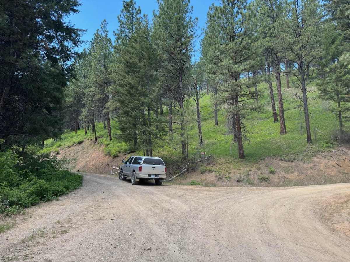 Pierce Creek photo 2