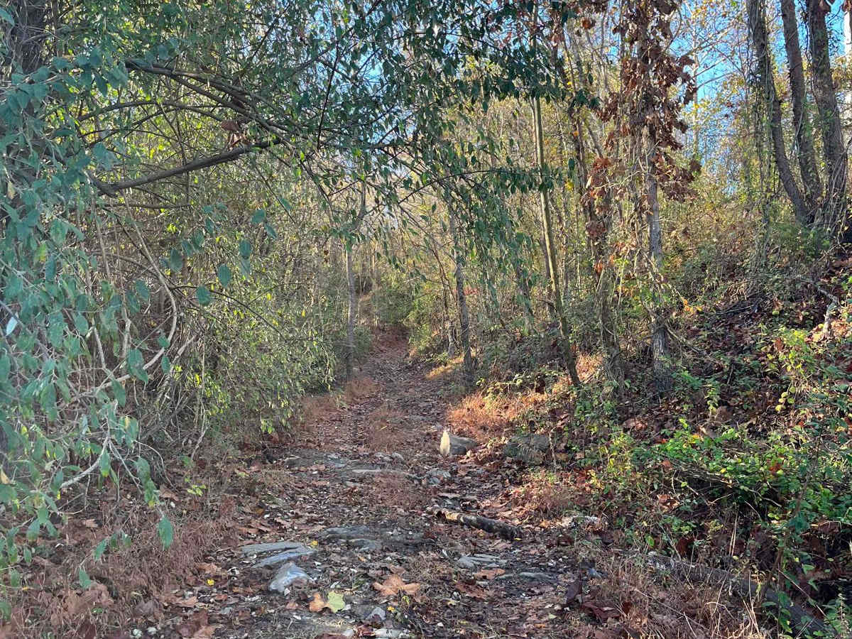 Open Ponds Trail photo 5