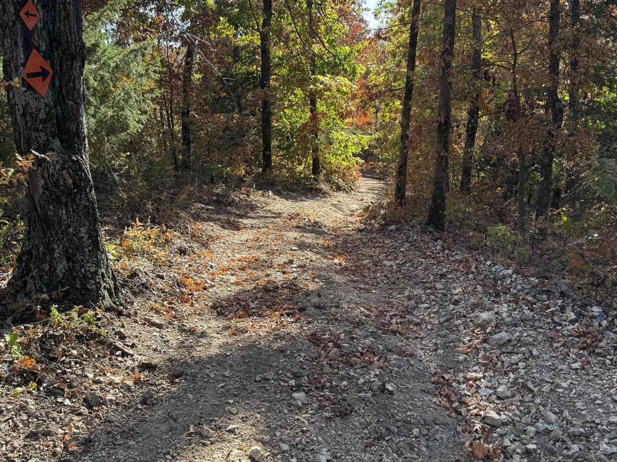 Green 74 trail photo