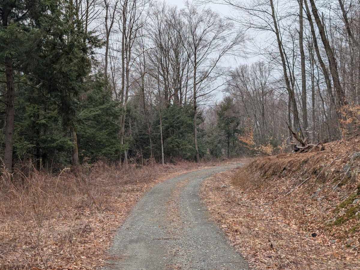 Carpenter Hill Road photo 4