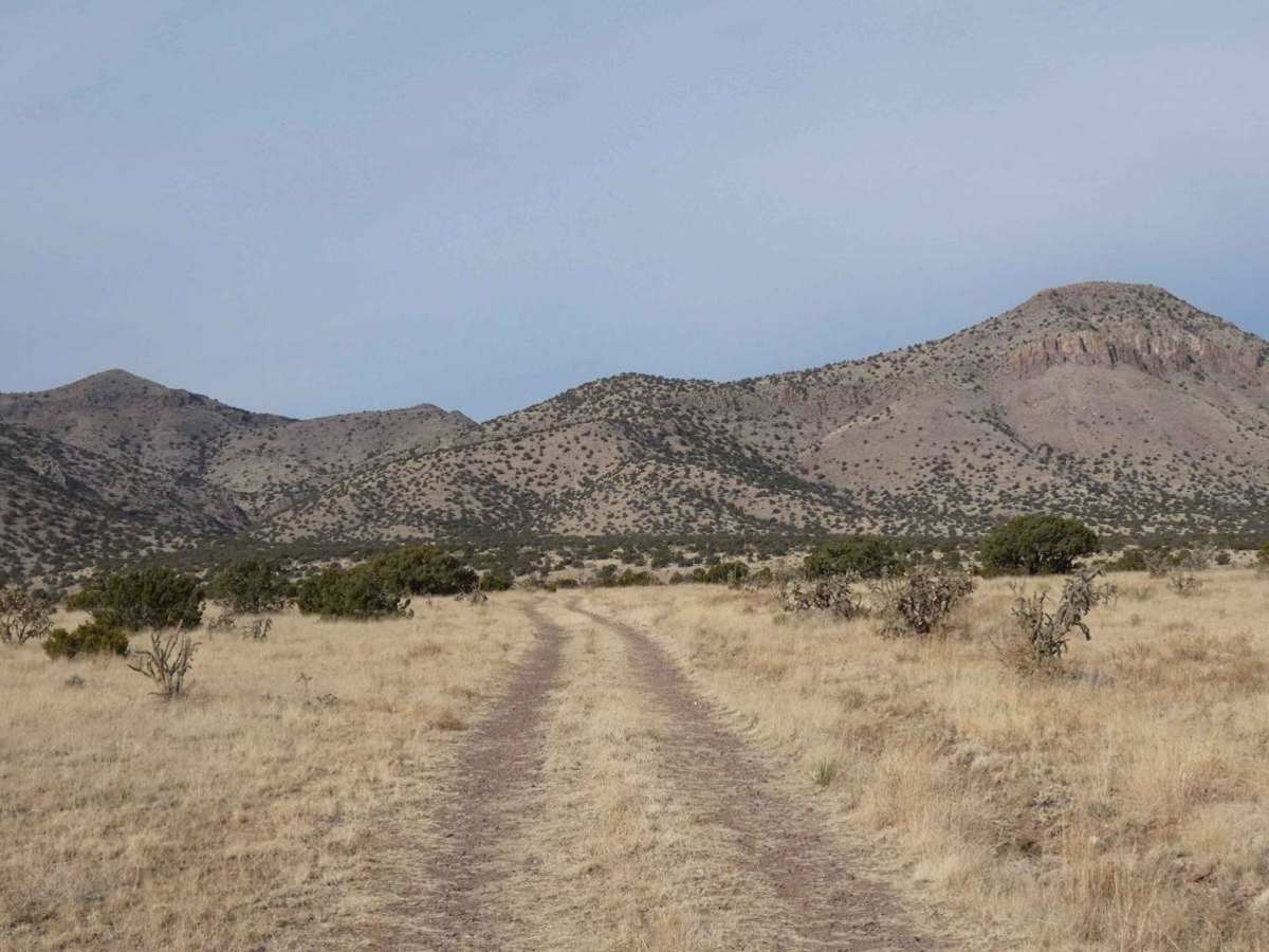 Jack's Valley photo 6