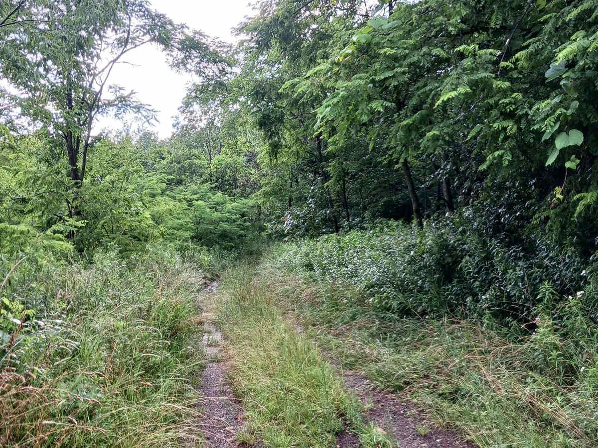 Trail 4G - Rock Run Recreation Area photo 2