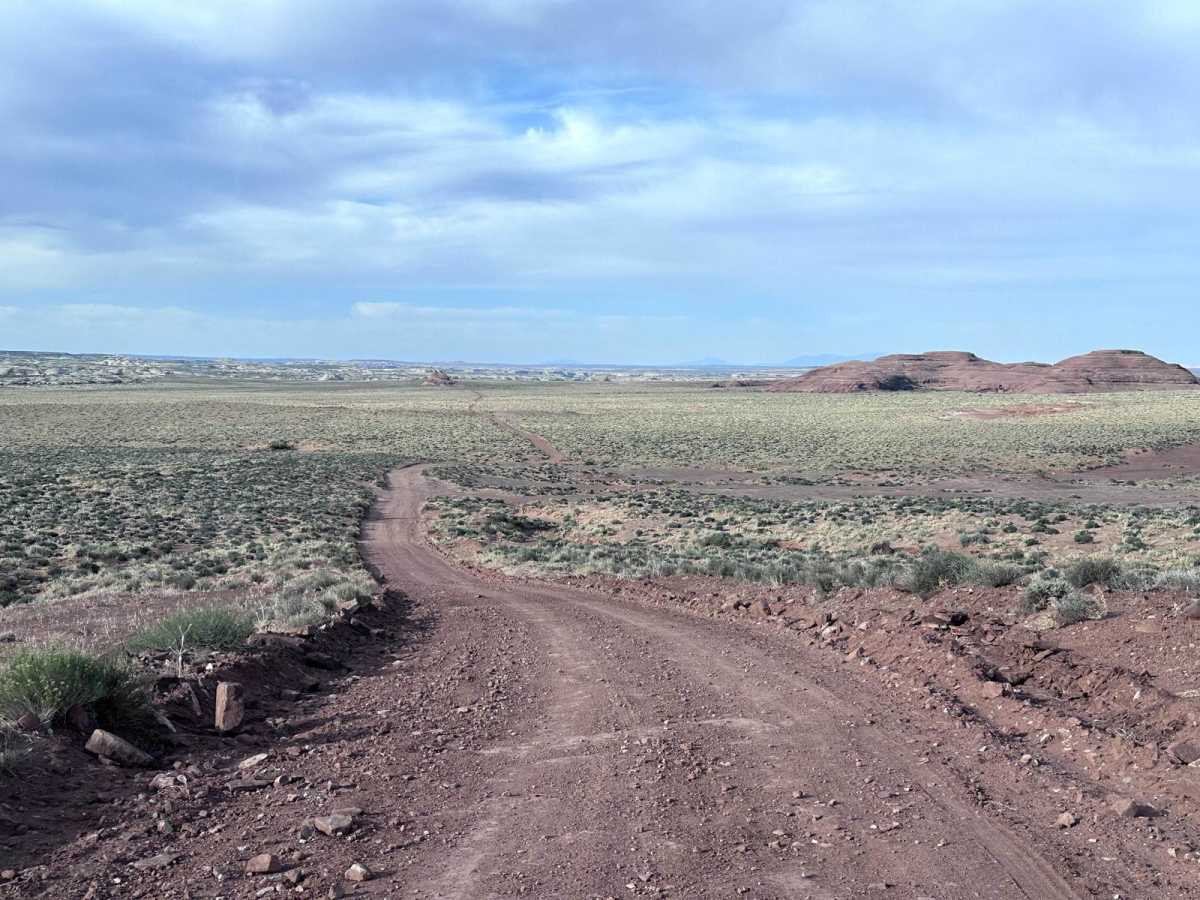 Ten Mile Road photo 4