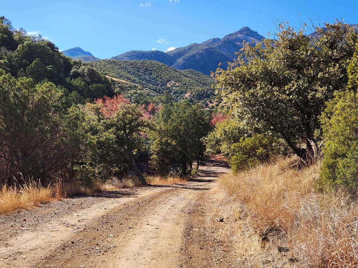 Gardner Canyon FR 92 trail photo