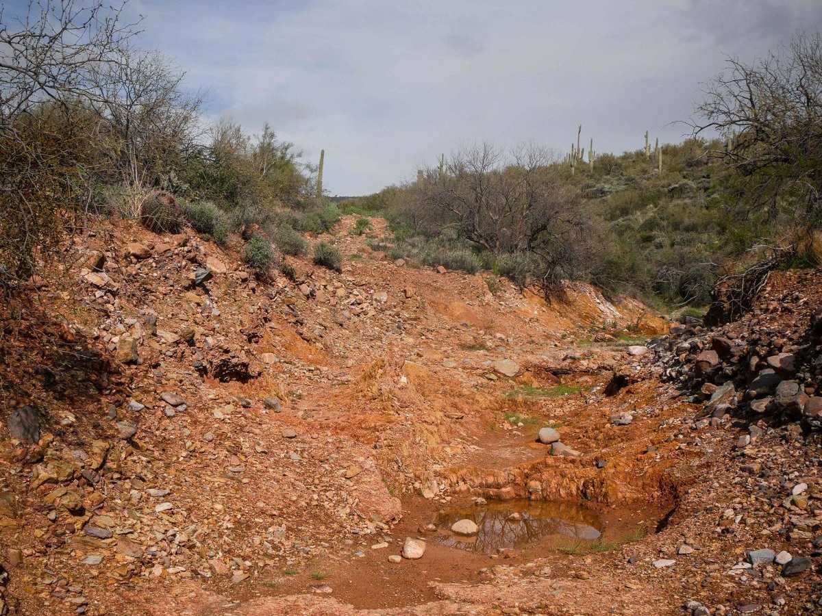 Shoemaker Spring photo 6