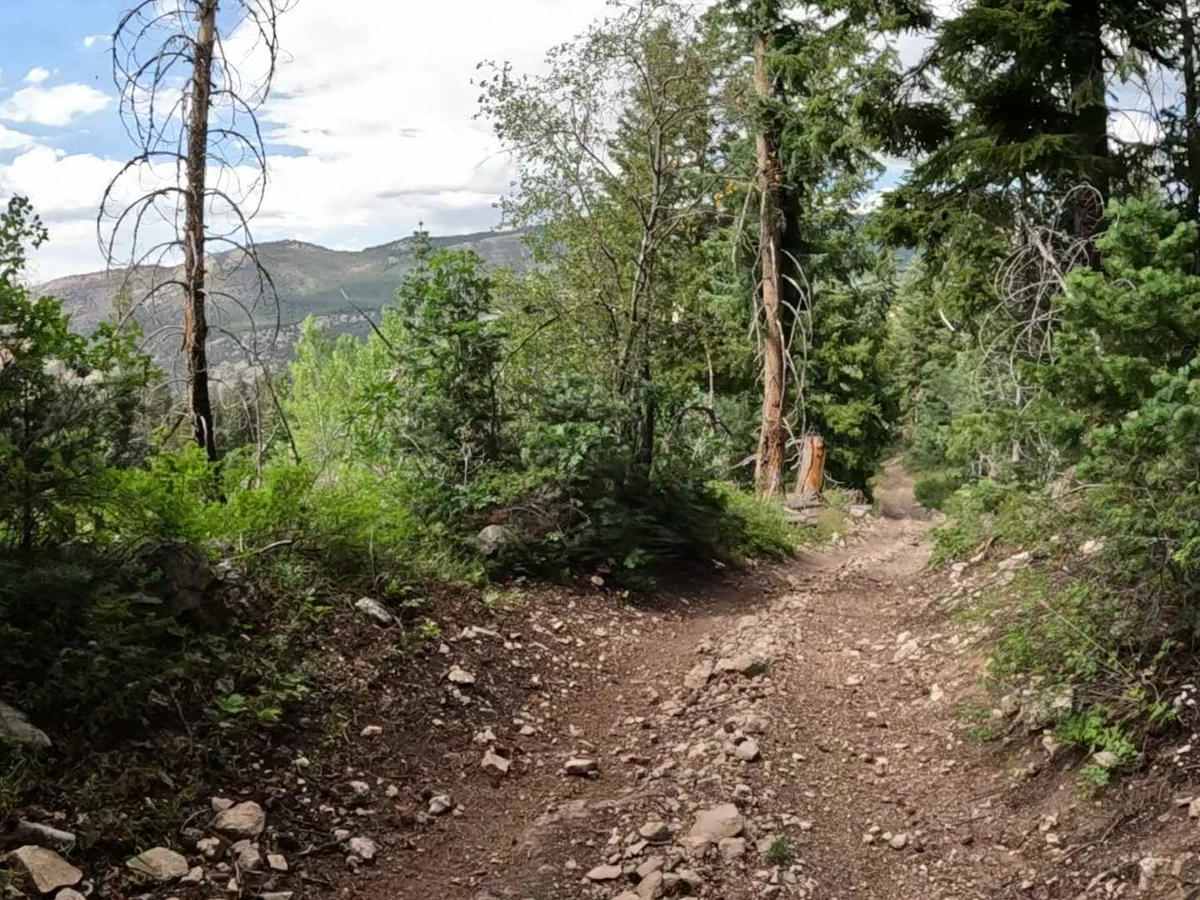 Harmon Trail trail photo