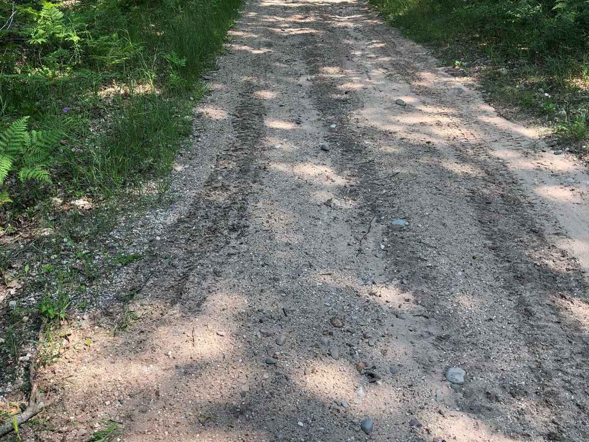 Cheboygan Plains Loop photo 4