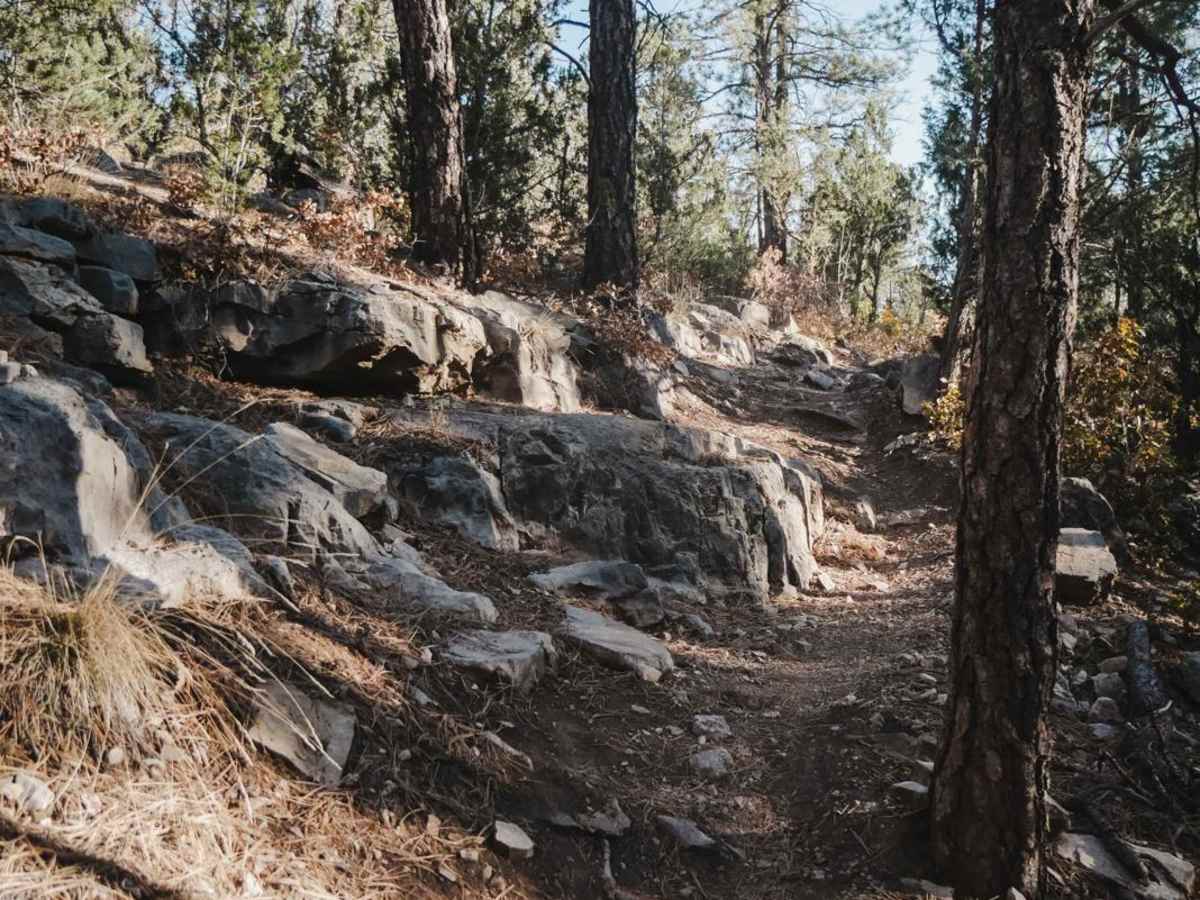 Lower Pine photo 2
