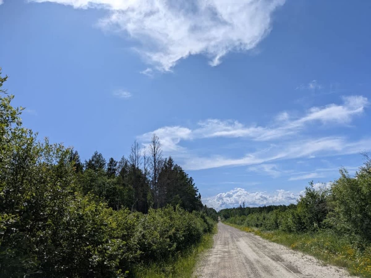 Johnson Road photo 4
