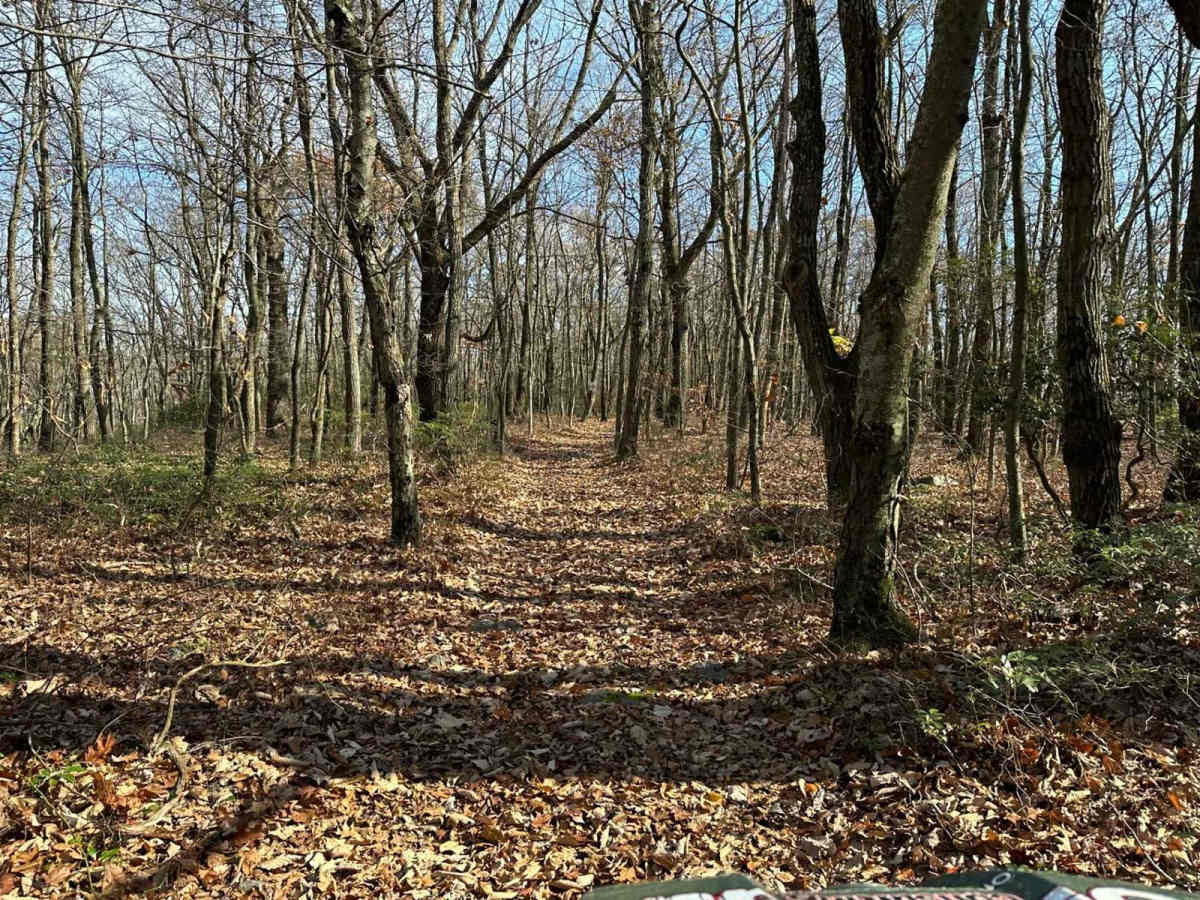 Ashland 171 photo 2