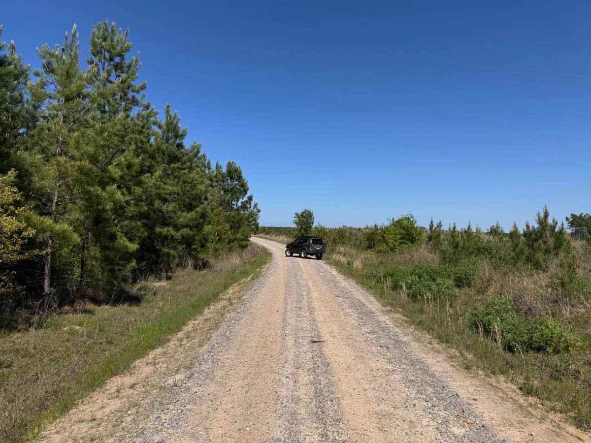 Fox Camp Road photo 3