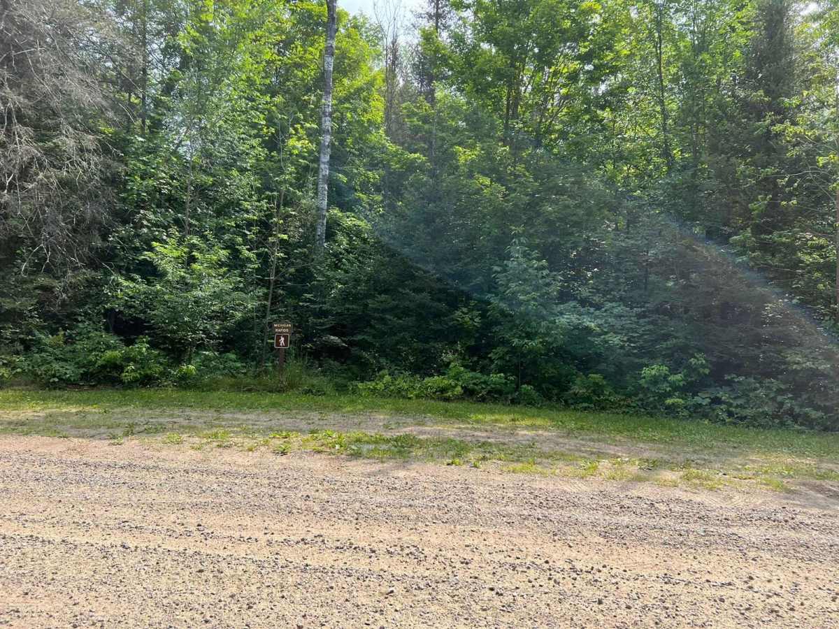 Michigan Creek Road - FS 2134 photo 3