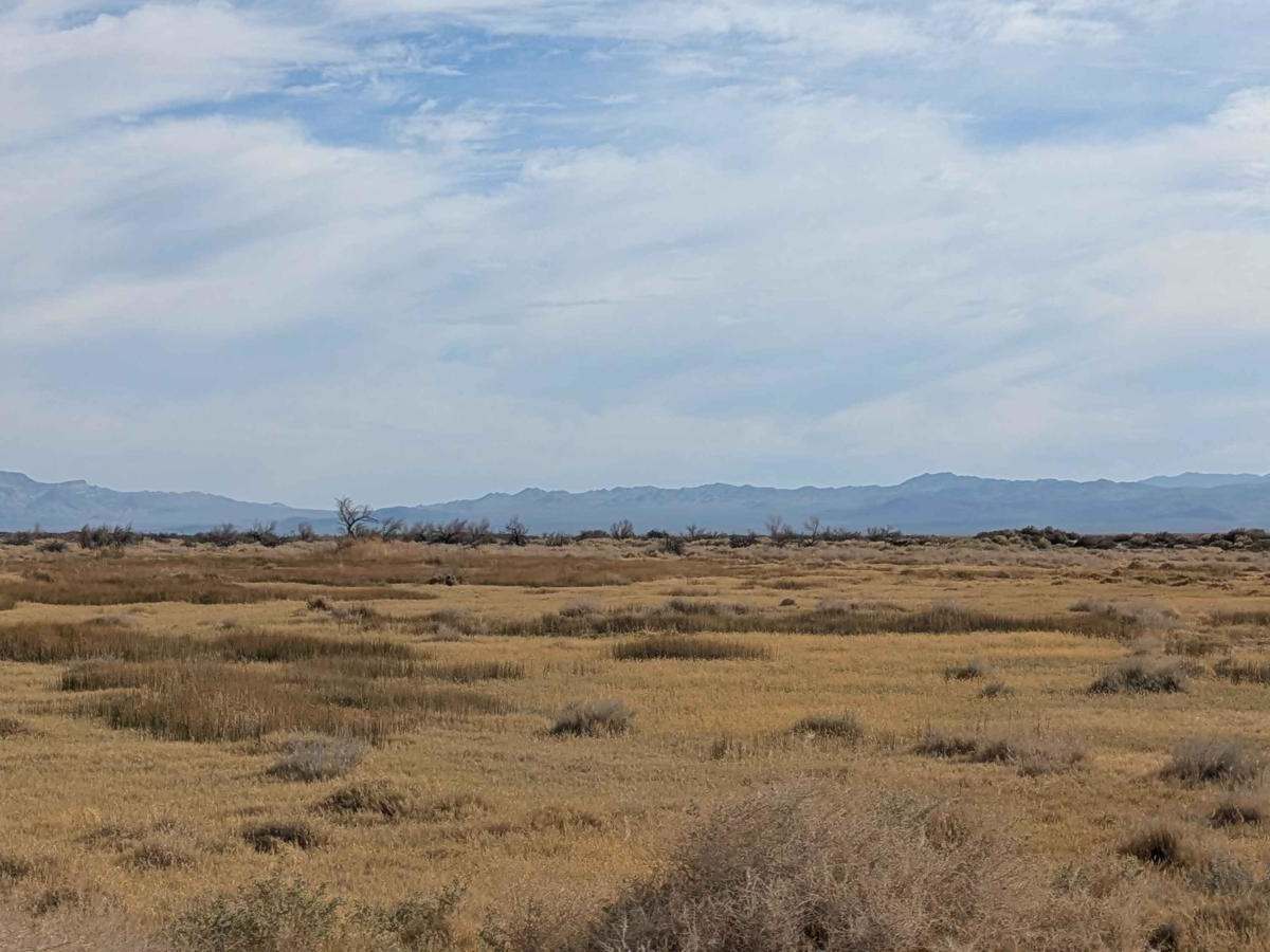 Spring Meadows Road photo 5