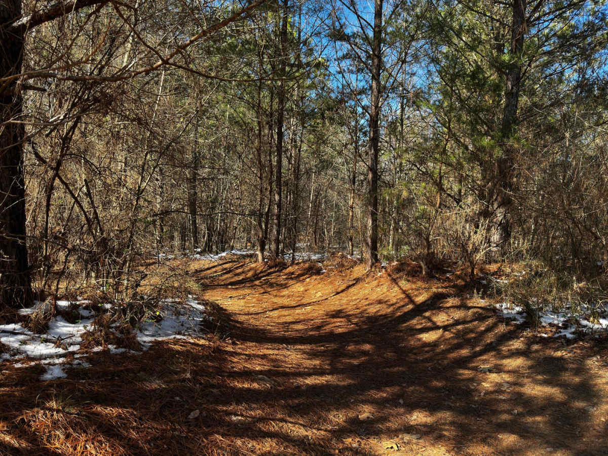 405E photo 5