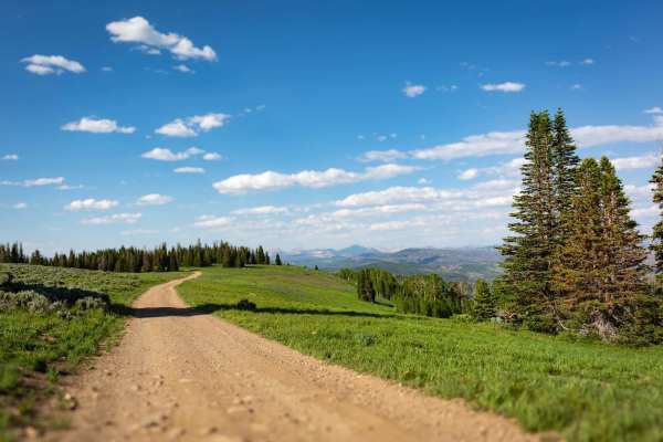 Mill Hollow Ridge - FR 70060