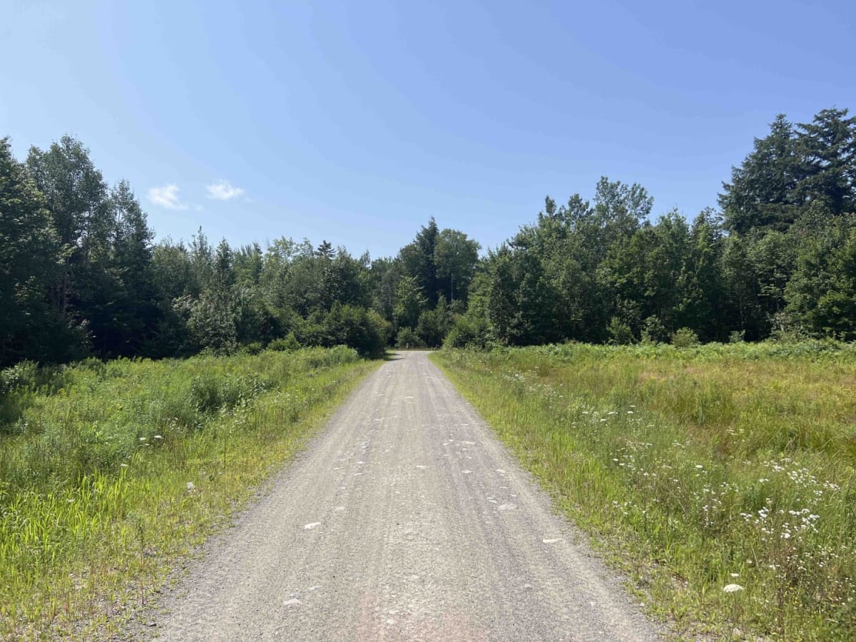 Burrill Woods Road photo 6