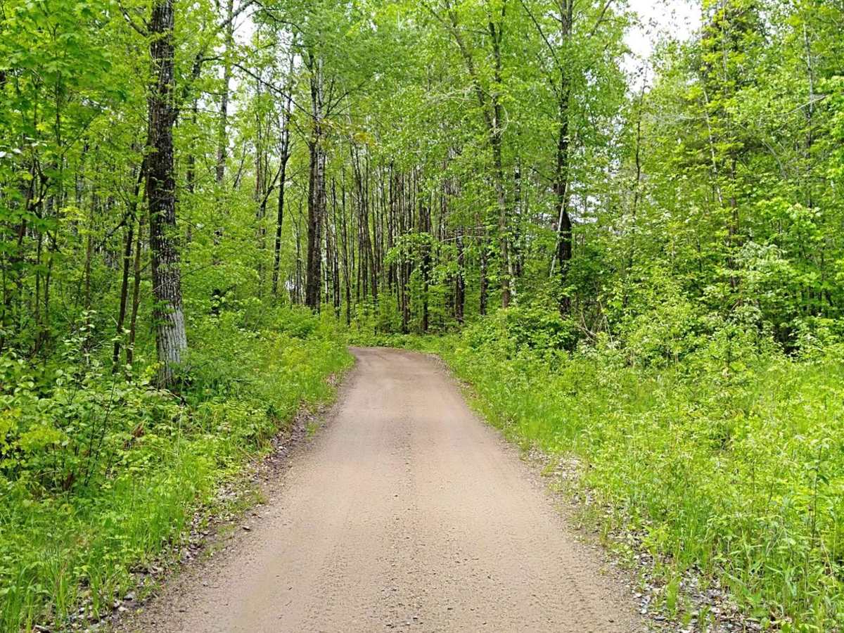 UPM Blandin Trail N photo 2