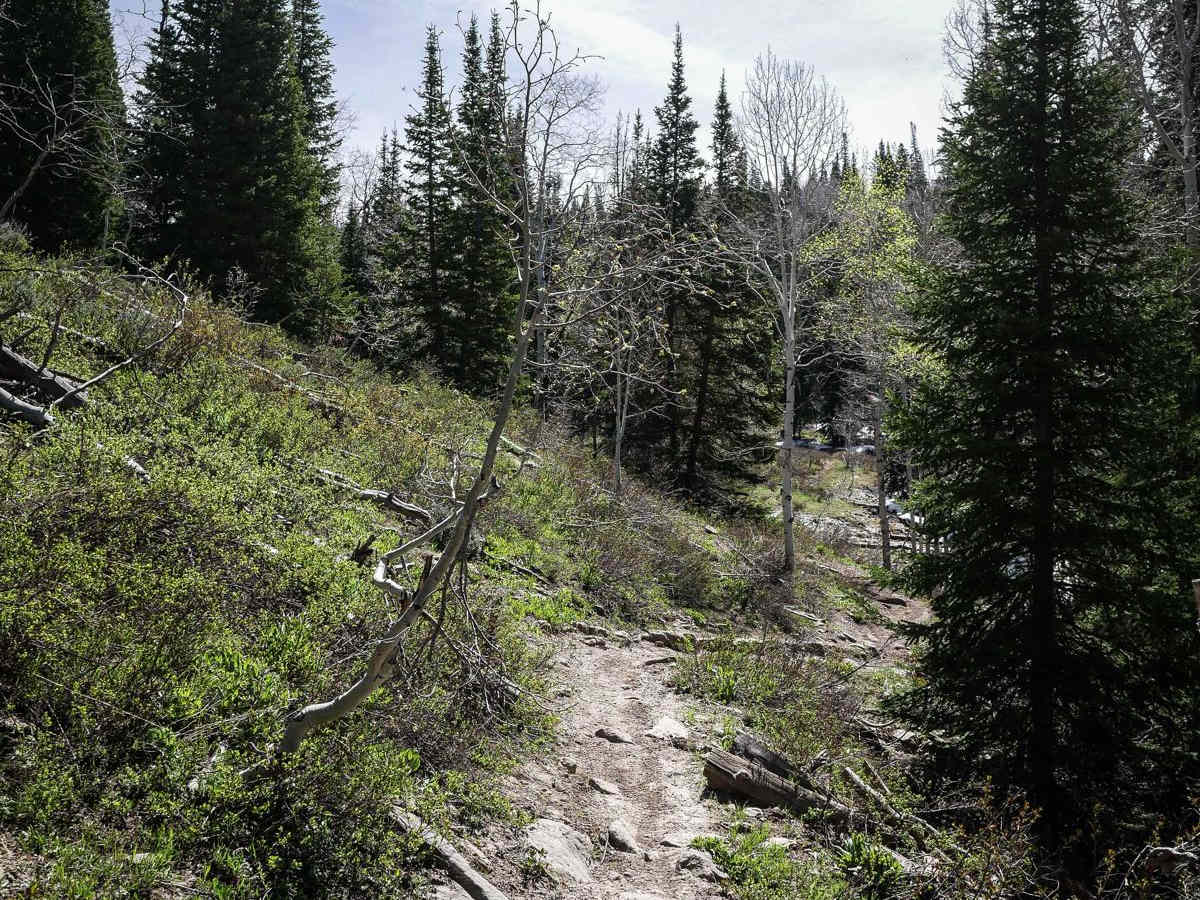 Third Water Creek #236 trail photo