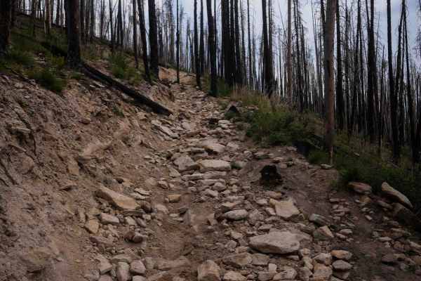 Willow Pass Trail