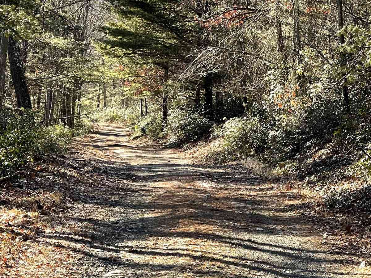 Knob Ridge Road Drivable Trail photo 4
