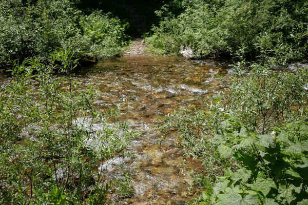 Bear Creek