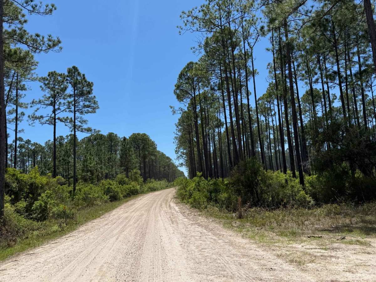 John Allen Road trail photo