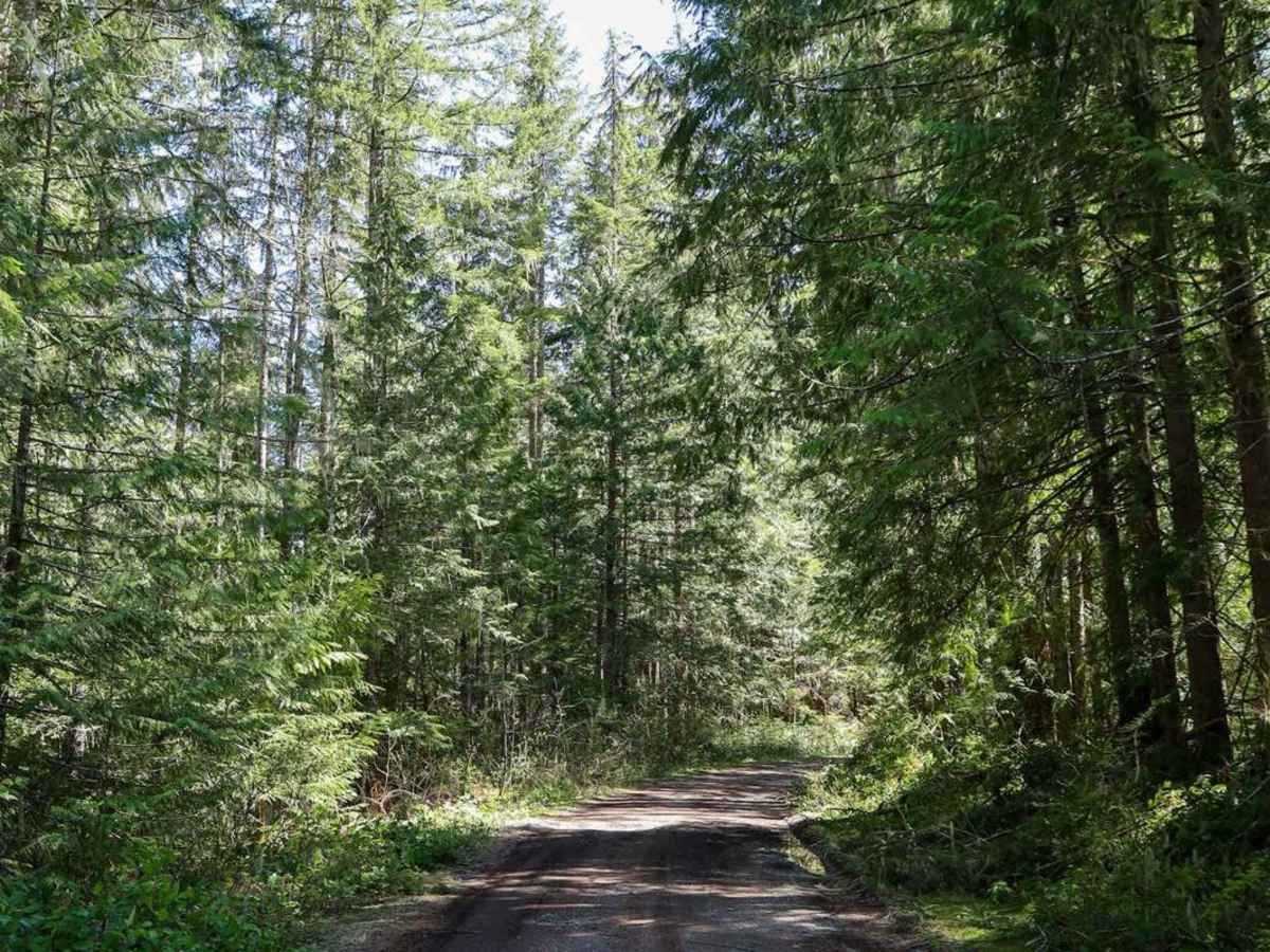 Rinker Ridge Road - Texas Pond photo 2