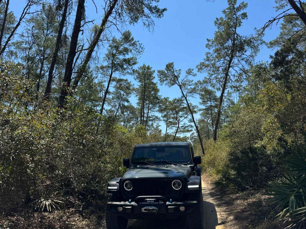 Neck - ONF 41 trail photo