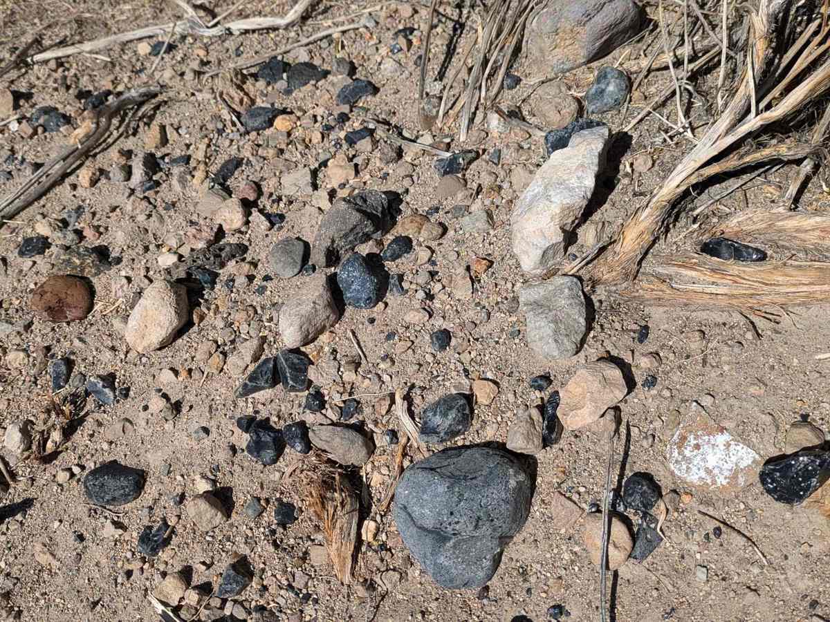 Black Canyon Rd photo 6