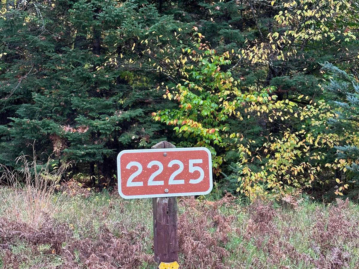 FS 2225 trail photo