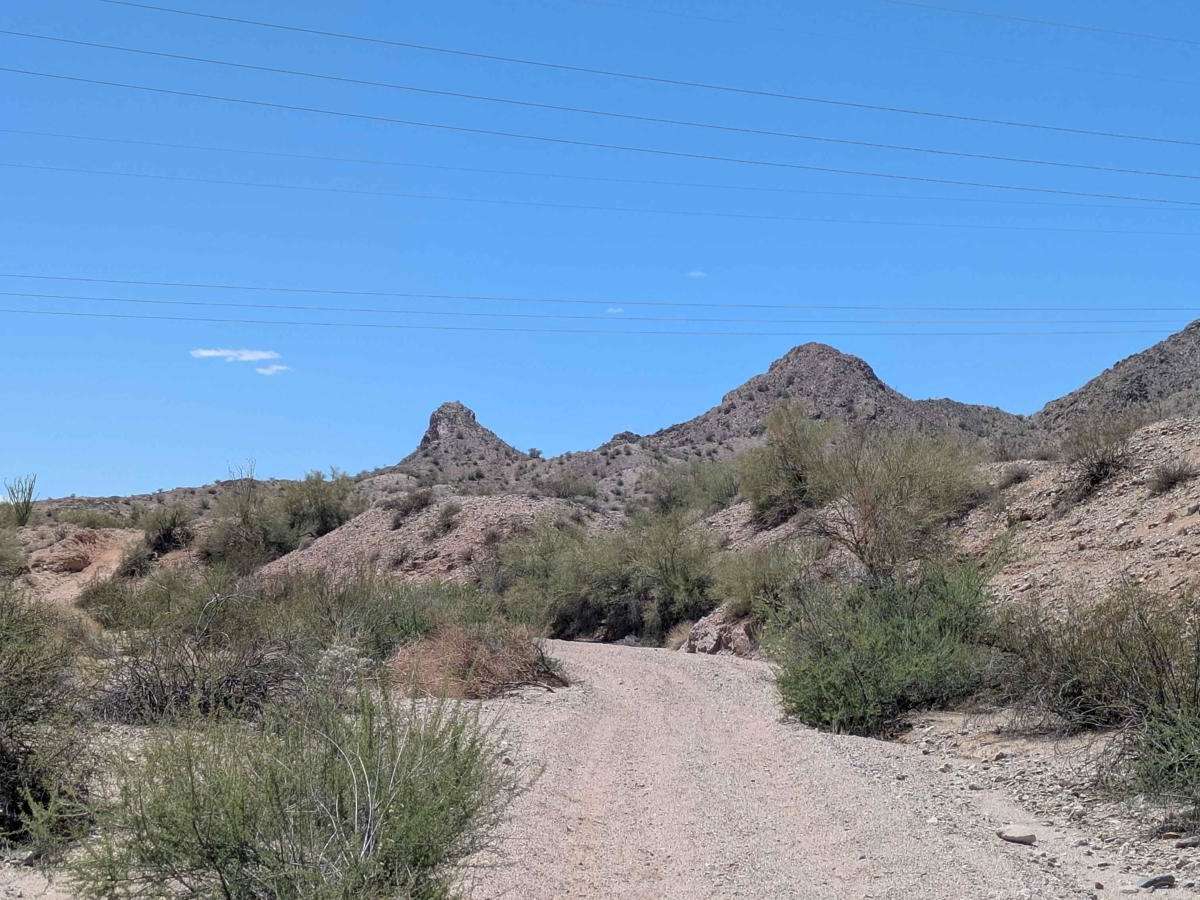 Goat Hill trail photo