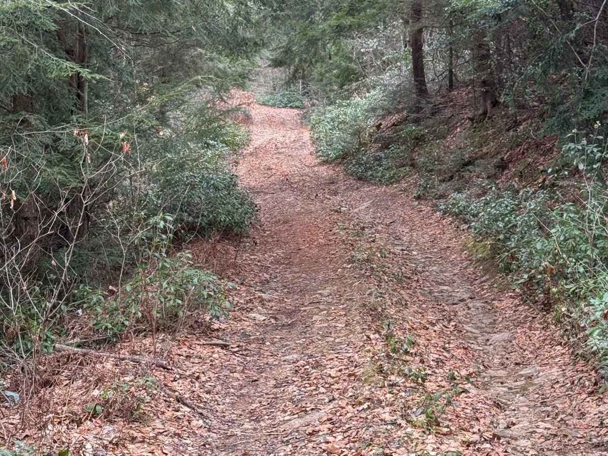 Wolf Run Trail photo 4